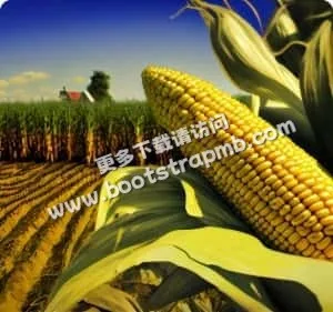 致力于打造顶尖娱乐平台 - 壹号娱乐APP